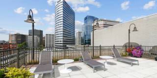 London Normandy House Gallery 5