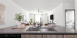 Palm Grove Gallery 11
