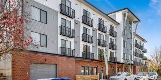 Luxurious Studios with Rooftop Deck and Secured Entry! Gallery 34