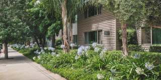 6535 Haskell Avenue Gallery 7