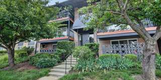 204 PARK TERRACE Court SE Gallery 1