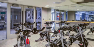 455 at Tinner Hill Gallery 4