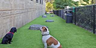 Youngstown Flats Gallery 26