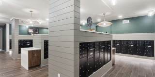 Alta Goodyear Gallery 19