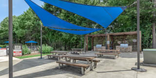 Serene at Woodlake Gallery 3