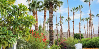 49340 Sunrose Ln Gallery 14