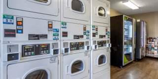 Houston - Westchase - Westheimer Gallery 24