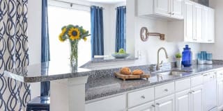 The Islands of Fox Chase Gallery 1