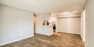 Ellevate St. Ives Gallery 15