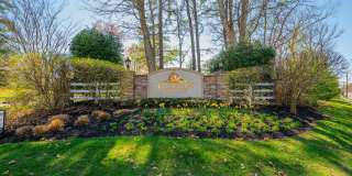 539 Sophee Lane Gallery 1