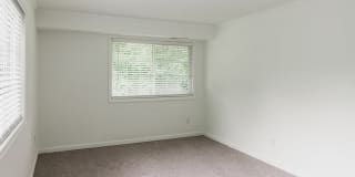 Alister Falls Church Gallery 13