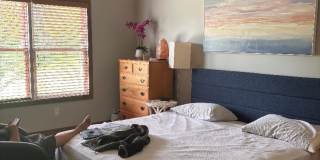 8895 Emerald Hill Dr Gallery 12