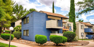 Mountain Steppes Gallery 1