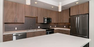 The Lex The Lex Gallery 49