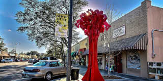 3868 HERSCHEL Street Gallery 15