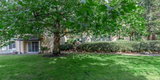 Carrington Gallery 19