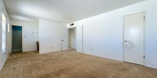 Northeast El Paso 3 Bed 2 Bath in Apollo Heights Neighborhood! Gallery 13