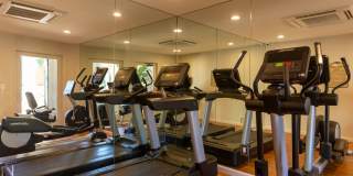 Volterra at La Mesa Gallery 15