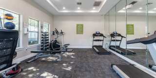 Springmarc Gallery 24