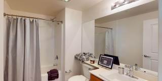 Edgewater Gallery 19