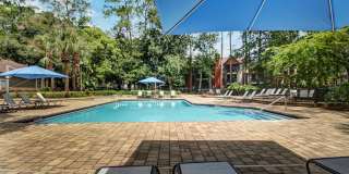 Timberwalk at Mandarin Gallery 5