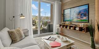 Pine Groves Gallery 3