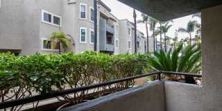 Mission Pacific Apartments Gallery 24