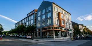 The Arbory Gallery 23