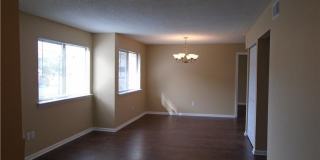 St. Albens Glen Gallery 4