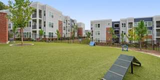 Bluebird on Seventy Gallery 37