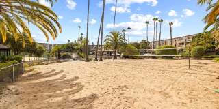 3054 Rue Dorleans Gallery 45