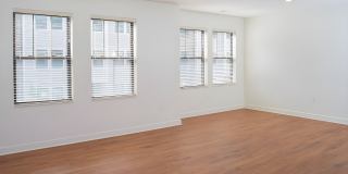 Park South Gallery 15