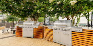 Heron on Hausman Gallery 6