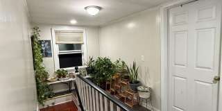 71 Ribbon Street Gallery 12
