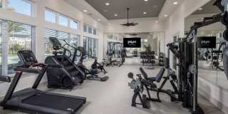 Prose Lakeside Gallery 9