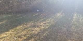 Nice Two Bedroom House Close to Liberty University! Gallery 14