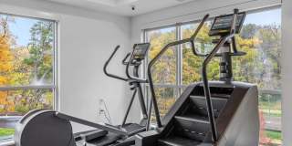 The Aurilla Gallery 38