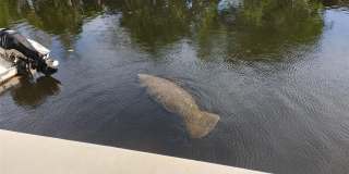 1806 NE 22nd Terrace Gallery 45