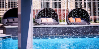 Evolution at Towne Centre Gallery 5