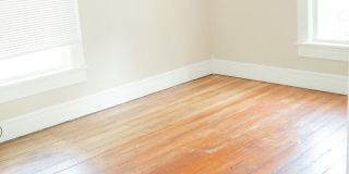 4 Bedroom, 2 Bath on Campus Gallery 9