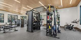 Halpine View Gallery 23