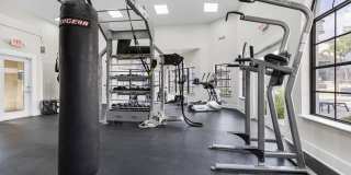 Alvista Hollywood Gallery 21