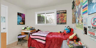 3485we Gallery 22