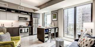 Signature at Reston Town Center Gallery 6