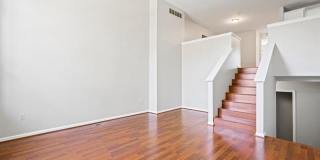 142 SANDY Lane Gallery 4