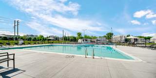 TGM Autumn Woods Gallery 21