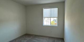 PET FRIENDLY Gallery 24