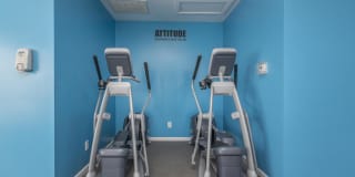 Windsor Place Gallery 12