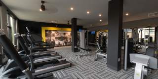 Anderson Flats Gallery 19