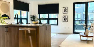 New Construction W.ROX VFW RT-1 Gallery 10